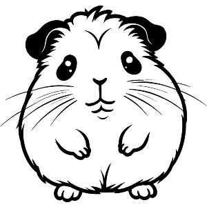 Cute Guinea Pig