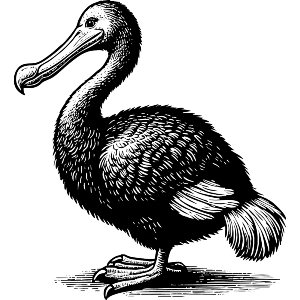 Dodo Bird