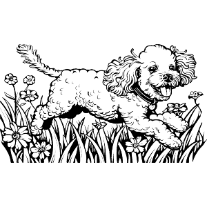 Happy Toy Poodle Running with Flowers
