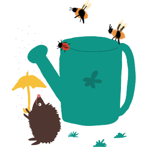 Watering Can And A Hedgehog 