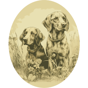 Vintage Hunting Dogs