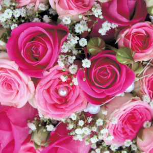 Pink Bouquet Of Roses