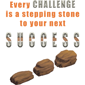 Journey of Stepping Stones