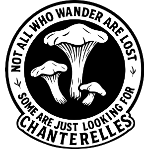 Looking For Chanterelles