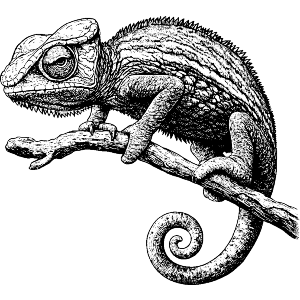 Chameleon on Branch