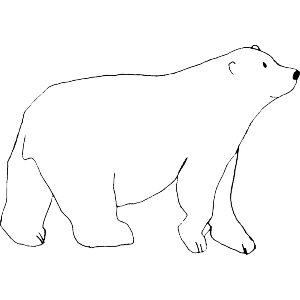 Cute Polar Bear