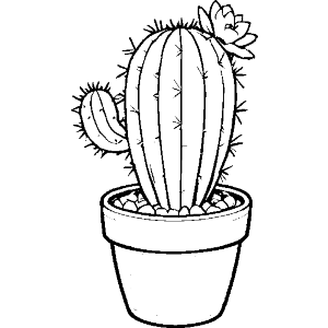 Flowering Cactus Plant