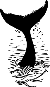 Whale Tail