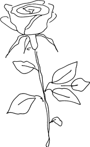 Single Rose