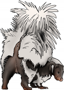 Skunk