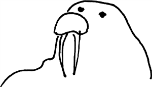 Walrus