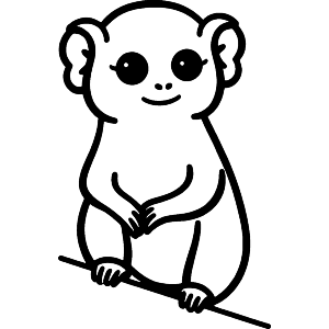 Pygmy Marmoset