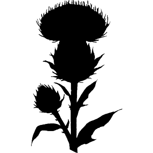 Thistle Flower Silhouette