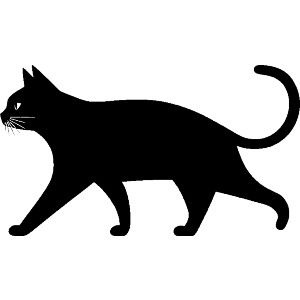 Cat Walking Side View