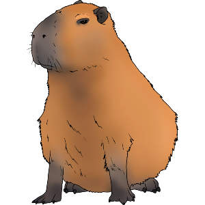 Grumpy Capybara