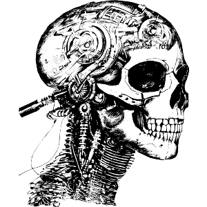 Cybernetic Skull