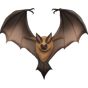 Flying Bat