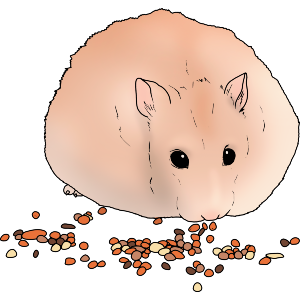 Dwarf Hamster