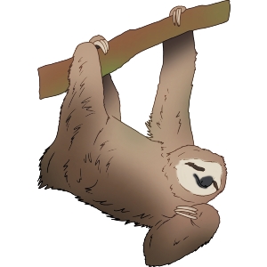 Cute Dangling Sloth