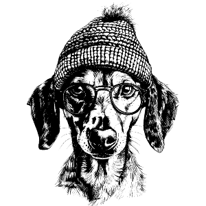 Daschund Wearing Glasses