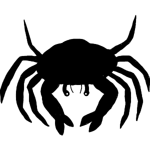 Crab