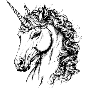 Unicorn Portrait