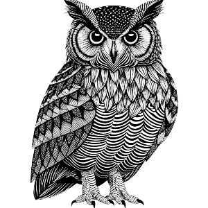 Beautiful Stylized Black And White Owl 