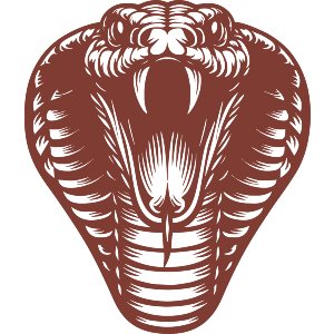 Cobra Head
