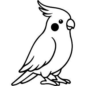 Cute Cockatiel