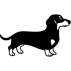 Dachshund Dog