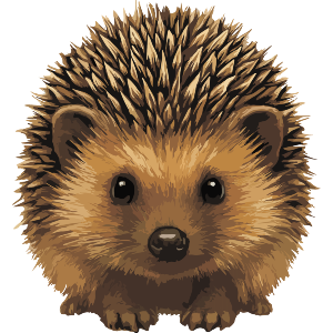 Cute Fluffy Hedgehog With Spiky Hair