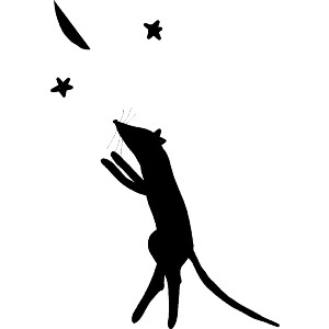 Mouse And The Night Sky