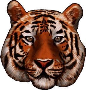 Tiger Face
