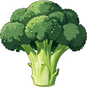 Broccoli