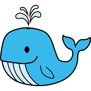 Blue Whale