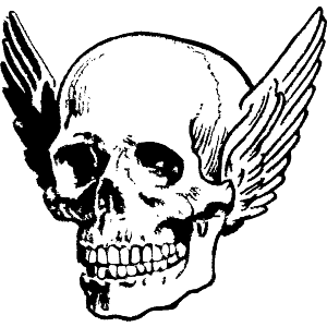 Human Skull with Wings