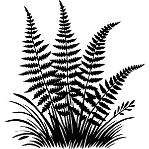 Ferns and Grass