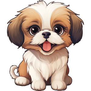Shih Tzu