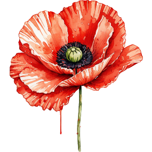 Painted Style Poppy