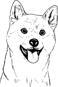 Shiba Inu Dog