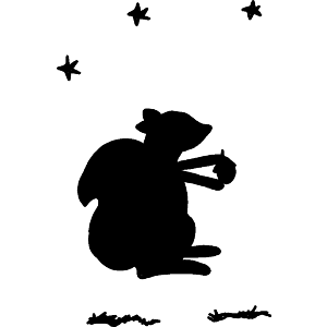 Squirrel On A Starry Night