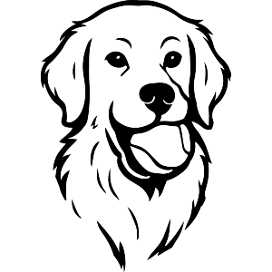 Golden Retriever Dog With A Tennis Ball