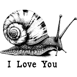 I Love You with Snail