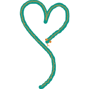 A Heart Shape Snake