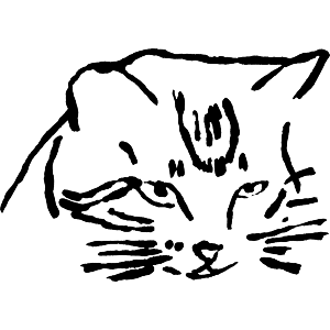 Tabby Cat