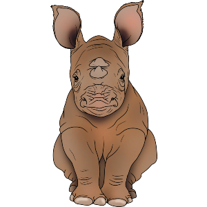 Baby Rhino Sitting