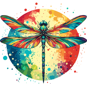 Colourful Dragonfly