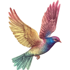 Rainbow Colored Dove 