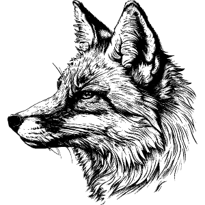 Fox Side Profile