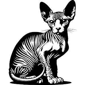 Sphynx Cat Sitting